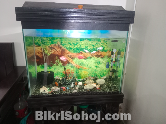 Aquarium
